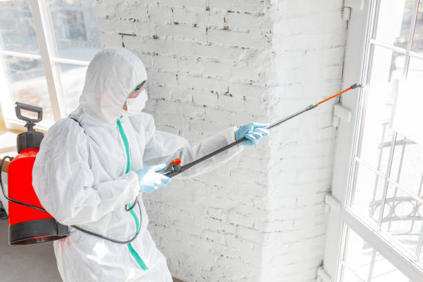 Billings, MT Mold Removal Services Company